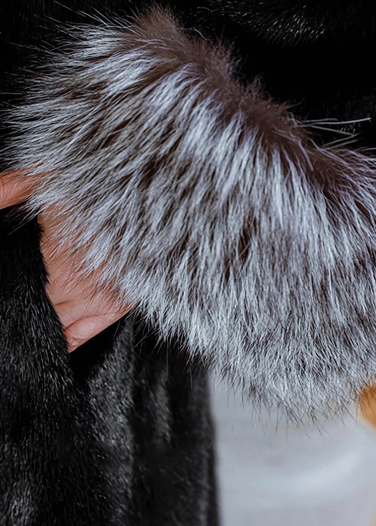 VILON WAISTMARK ECO FUR COAT ファーコート ブラック YILON WAISTMARK ECO FUR COAT ブラック - メルカリ