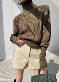 Turtle Neckline Pullover Knit Sweater